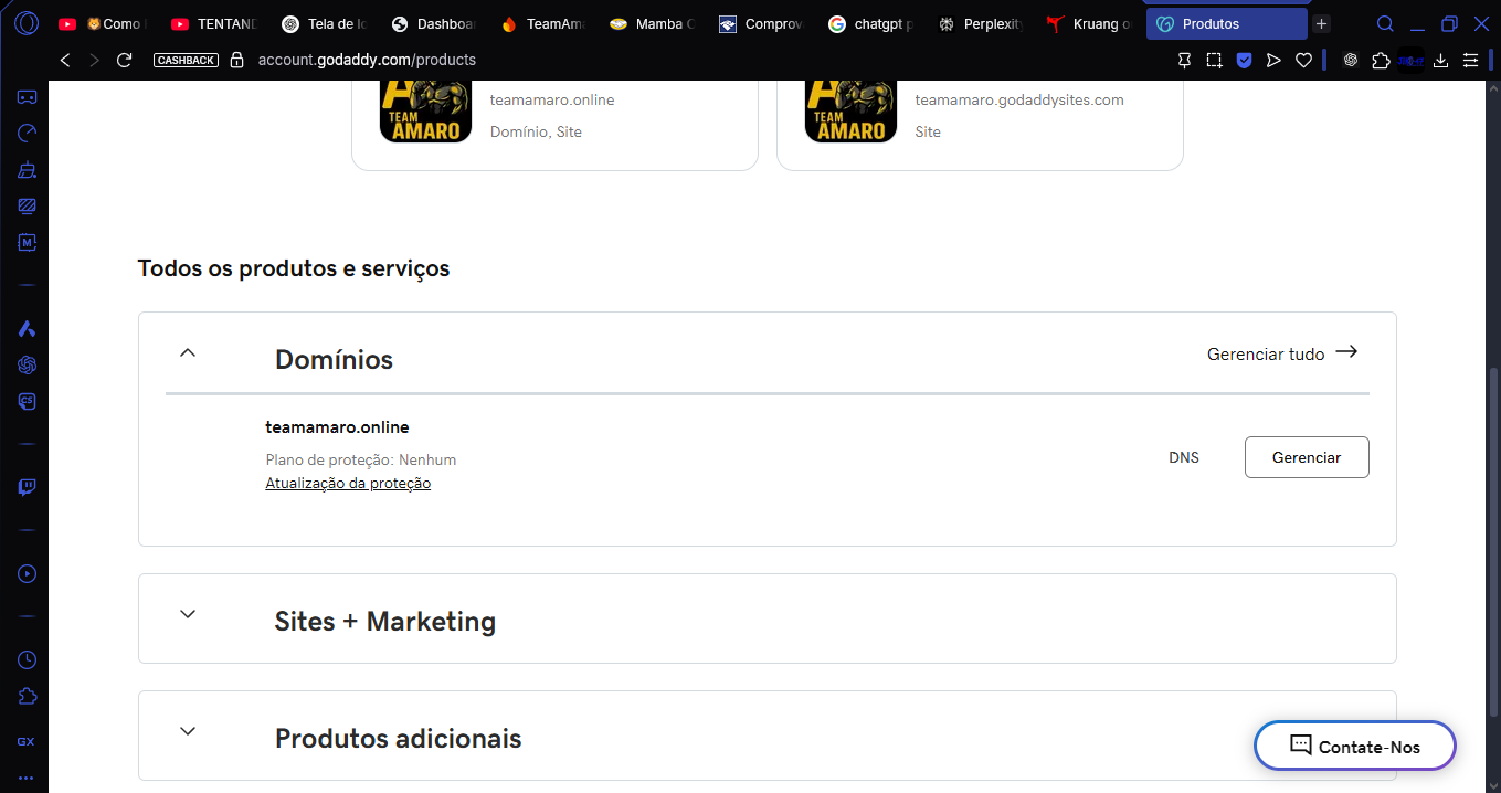 Logo Team Amaro